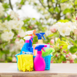 spring cleaning products